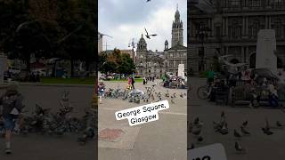 Pigeons in George Square | Glasgow  | Scotland | #shorts #uk #scotland #glasgow #dailyvlog