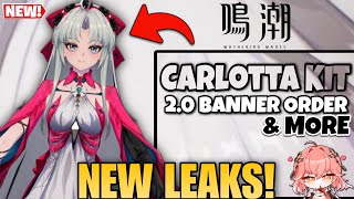 NEW UPDATE! CARLOTTA KIT, 2.0 BANNERS AND MORE | Wuthering Waves