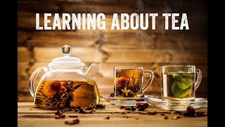 Understanding Tea with Chef Mohit