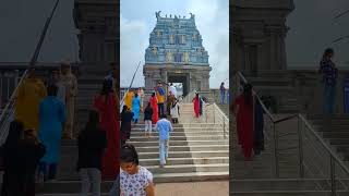 tirupati balaji temple in jammu | #tirupati #tirupatibalaji #shorts #short #viral #youtubeshorts