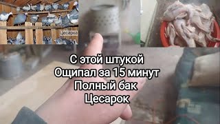 С этой штукой ощипал полный бак за 15 минут.