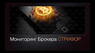 Мониторинг Брокера СТРИФОР