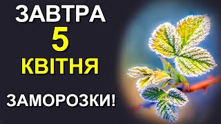 ПОГОДА НА ЗАВТРА: 5 АПРЕЛЯ 2024 | Точная погода на день в Украине