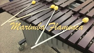 Marimba Flamenca