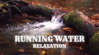 Running Water Sounds 🌊 Gentle Stream 🌊 For Sleep, Study, Stress Relief, Reading, Work, Soothing