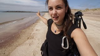 Dead whale in idyllic beach | The Scottish Diaries | Ep.9