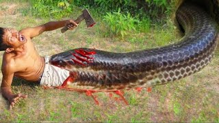 easy snake trap - build underground snake trap & chicken catch big snake in hole #snaketrap