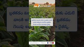 JHK Farmer Quote | Motivational quotes Telugu II Inspirational Quotes II Telugu Quotes #jhk