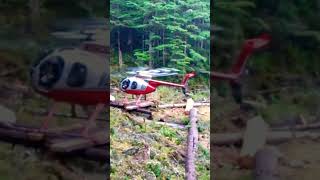 MD 500 Helicopter#shorts #youtubeshorts #shortsbeta