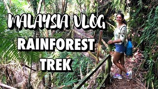 Malaysia Travel Vlog 2018 | Hiking Through a Rainforest in Borneo