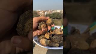 Maca Root benefits in urdu Maca root for men Maca root ke kya fayde hain how to use Maca root powder