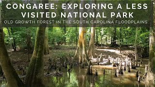 CONGAREE NATIONAL PARK: Hiking within the park and a bonus visit to nearby Swan Lake Iris Gardens!