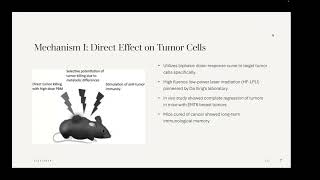 Bibhus Luitel: "A Review of Near Infrared PhotoBioNeuromodulation for Oncological Treatment"