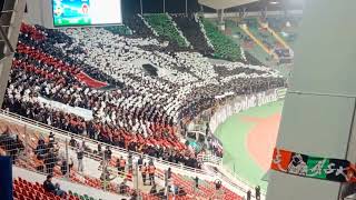 TIFO UAR2005 (ASFAR 1 VS 0 SCCM)