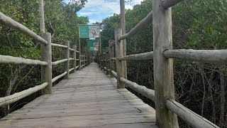 passeio na Passarela Ecológica em Mucuri,Bahia