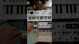 Microfreak jam with Demedash t120 and Chase Bliss Generation Loss Mk2 in Radiohead song