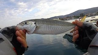 İncecik Takımla Dev İstavrit Avı! Foça'da LRF! Ultra Light Shore Jigging for Horse Mackeral