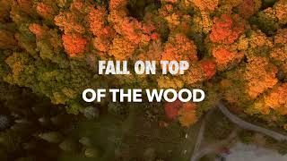 Fall on the top of the wood