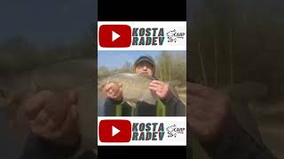 BREAM FISHING / ПЛАТИКИ #fishing #риболов #feeder #daiwa #фидер #breem