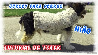 Jersey Niño Para Perros Tutorial de Tejer