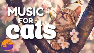 Relaxing Cat Music To Calm Anxiety - Sleep Music for Cats and Kittens