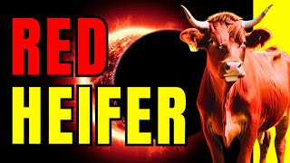 PROPHECY FULFILLMENT - Israeli Rabbi Breaks Silence on Red Heifer Timeline