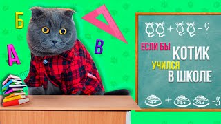 ЕСЛИ БЫ КОТИКИ УЧИЛИСЬ В ШКОЛЕ