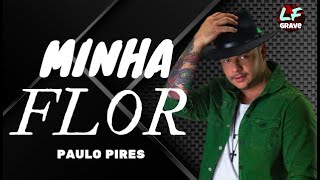 MINHA FLOR - Paulo Pires (Ao Vivo)