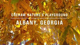 Chehaw Nature’s Playground