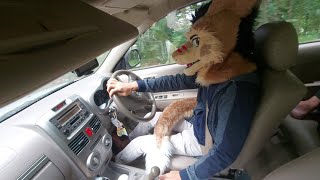 Part 2 [Last video] - Sergal fursuit hill driving video history