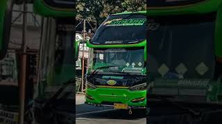 Jedag jedug Bus||Terbaru