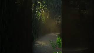 Beautiful  Nature #reels #shortvideo #shorts #trending #viral