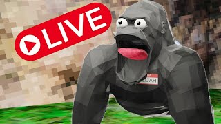 Animal company live with viewers!