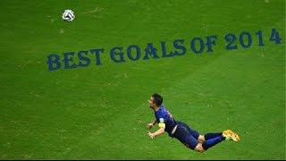 Best Goals of 2014