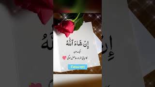 1 Din Kamyabi Zaror Hasil Ho gae ❤️❤️🥰🥰#shorts #status #trending #viral  #islamic #reaction #reels