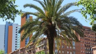 ¡HOLA BARCELONA! | travel vlog