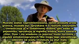 PERMAKULTURA - DARMOWA ŻYWNOŚĆ I PIENIĄDZE - CAŁKOWITA SAMOWYSTARCZALNOŚĆ POLSKIE NAPISY