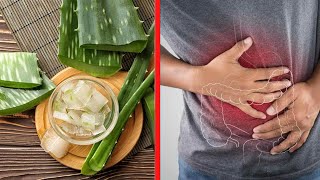 5 Incredible Ayurvedic Home Remedies For Digestive Disorders | Health Tips