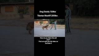 Dog Daddy’s Craziest Training Session Ever!!