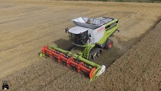 CLAAS Lexion 760TT, FENDT 930 TMS, 724 | Harvesting Barley | Agromeccanica Agliardi | ᴴᴰ