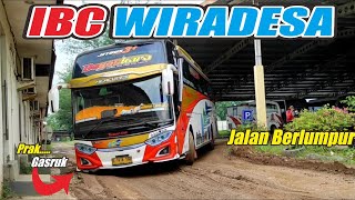 GERIMIS PENUMPANG SEPI JALANAN BECEK || IBC WIRADESA