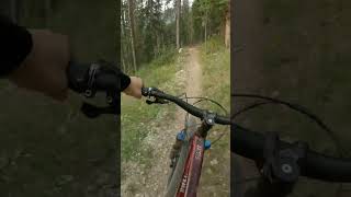 Do you like riding blue tech trails?