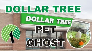 Dollar Tree Pet Ghost #dollartree #petghost