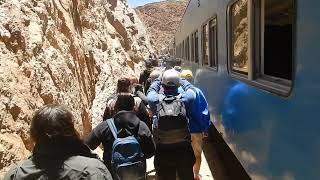 Walking to the Trestle Viewpoint @Latin America