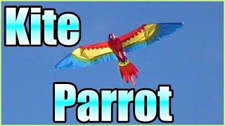 Premier Kites - Parrot kite