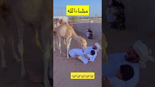 سبحان الله .. الغيره حتى في الحيوان 🤣