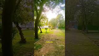 "Sunny Serenity: Exploring Safdarjung Tomb Park | YouTube Shorts | KrishnaRaiYT"