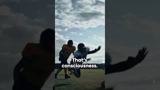 Consciousness Unveiled  A Quick Dive