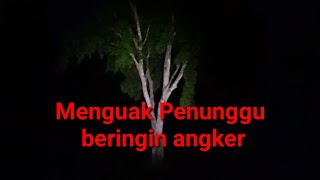 🔴LIVE MENGUAK PENUNGGU BERINGIN ANGKER