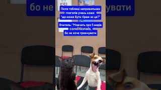 #esl #офлайннавчання #english  #cat #dog